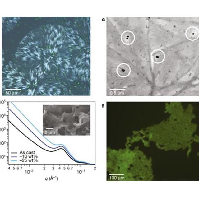 什么是可堆肥生物降解塑料？