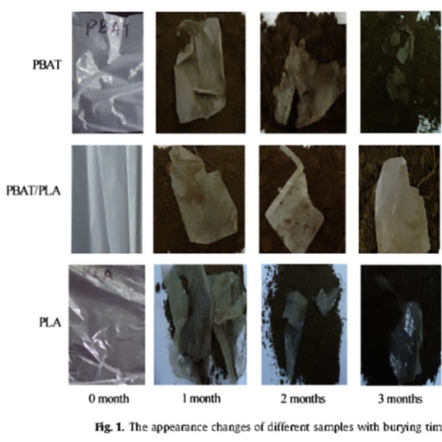 生物降解塑料在土壤里可以完全降解吗？