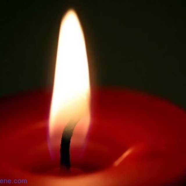 填料对阻燃PP的“灯芯效应”有什么不良影响？