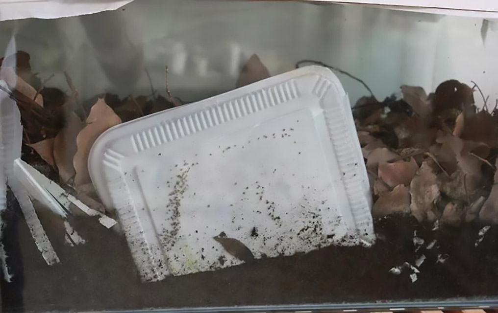 260-可堆肥塑料等同于生物降解塑料？配图